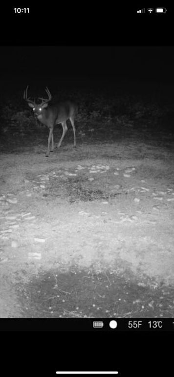 Screenshot 2023-10-01 at 10.11.46 AM