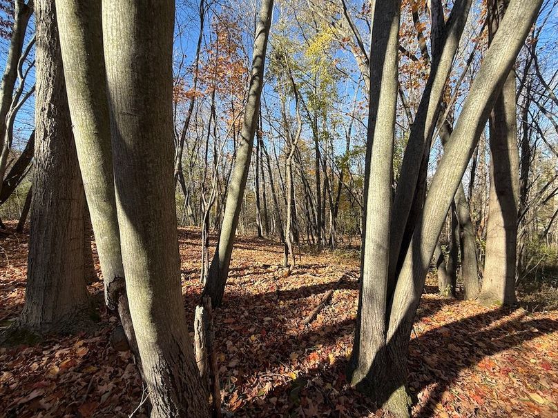 Wayne_18.11_Koehler Photo 30