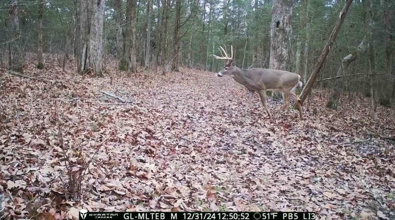 trailcam5