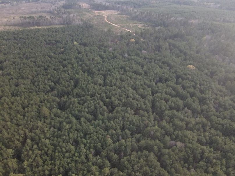 DJI_0101
