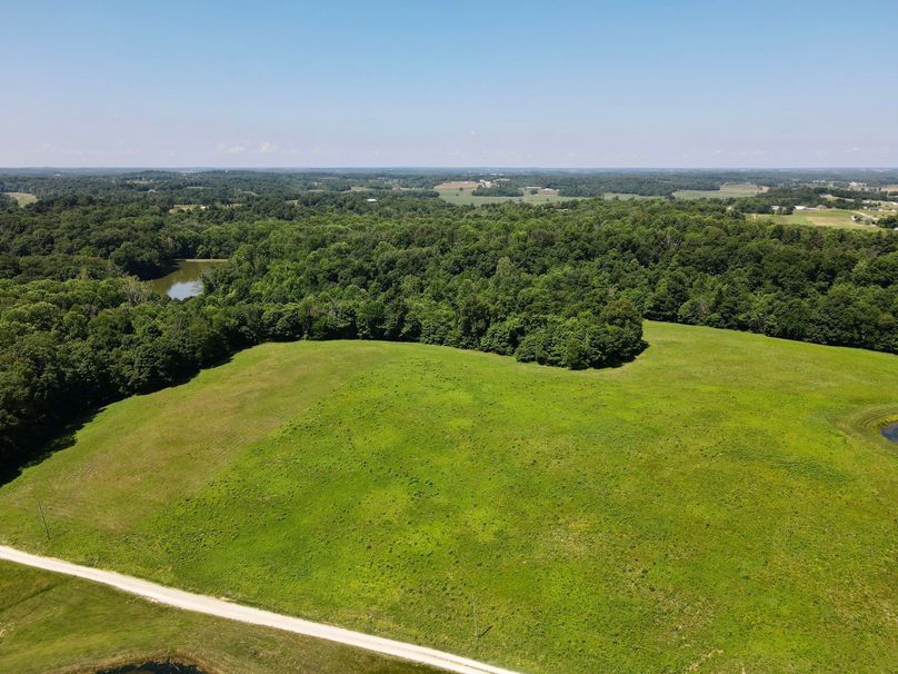 dji_fly_20230601_115648_409_1685635044764_photo