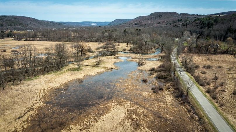 Tioga__NY_109.7_Burris_Photos_90