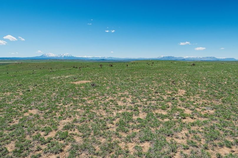 Huerfano Co 35.81 Bennett Outdoor Services -19