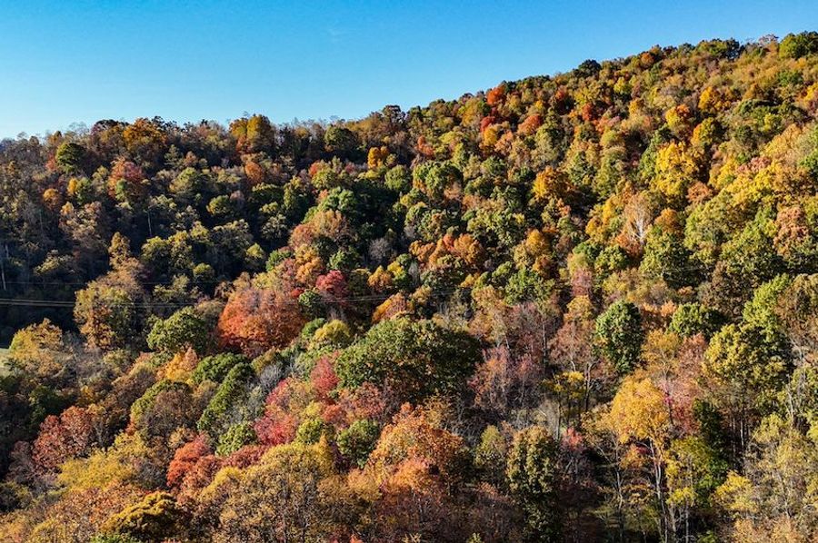 DJI_20241022145255_0161_D 2