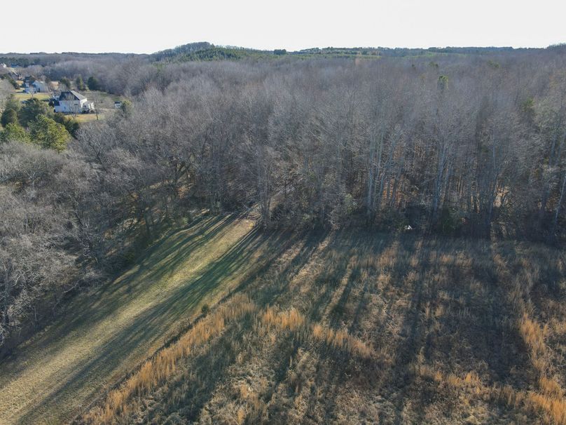 dji_fly_20240129_092802_781_1706538496257_photo