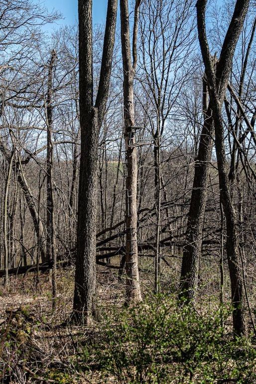 Jo Daviess IL 23.5_26