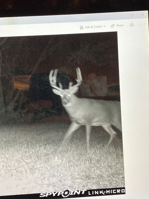 62552170940__6E82B090-1B07-4E91-B02E-CFC9918777DD