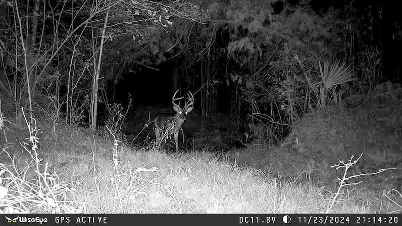 Claiborne Co - 274 - Marian-028