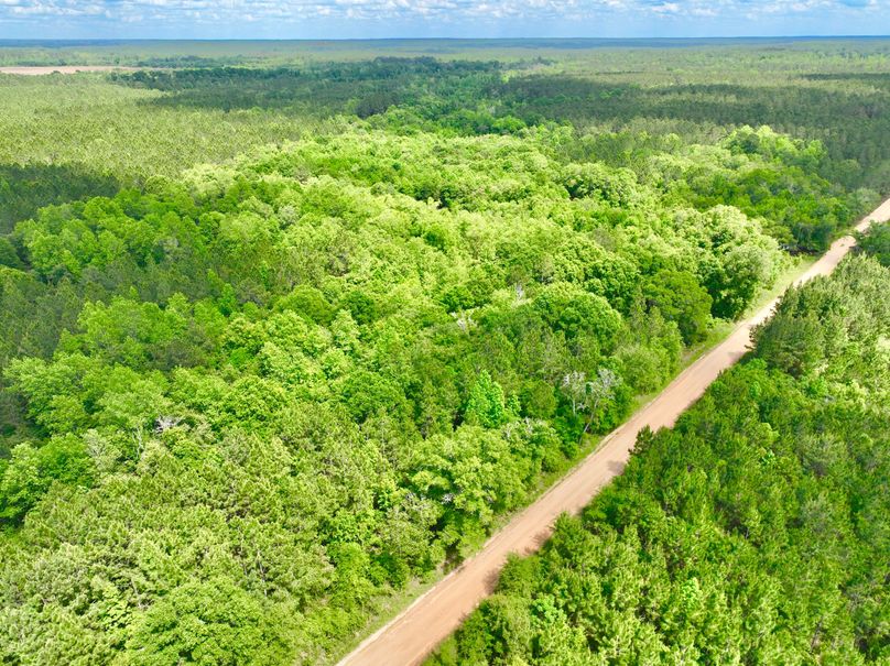 dji_fly_20230426_151030_330_1682536294058_photo