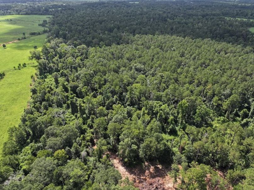 dji_fly_20250708_105006_0205_1752089887846_photo