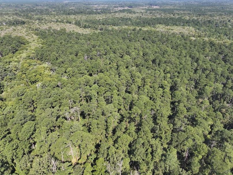 dji_fly_20250826_104348_0378_1756227535664_photo