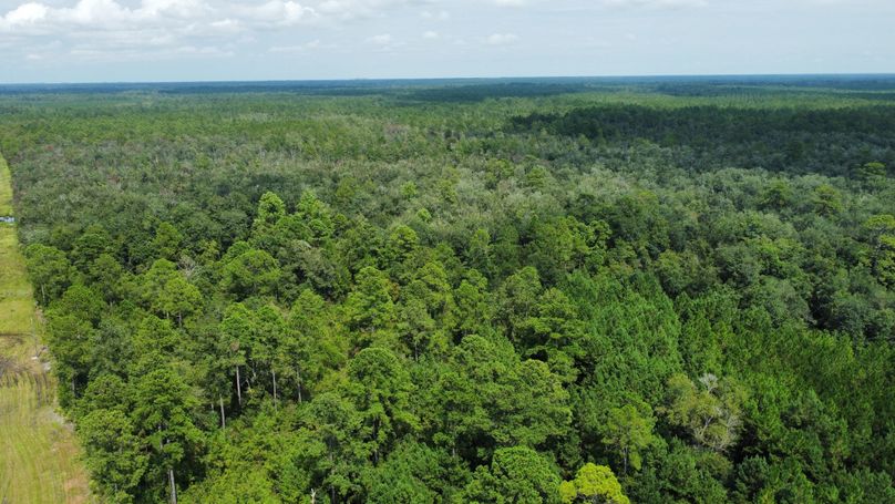 dji_fly_20230816_154230_76_1692214957086_photo_optimized