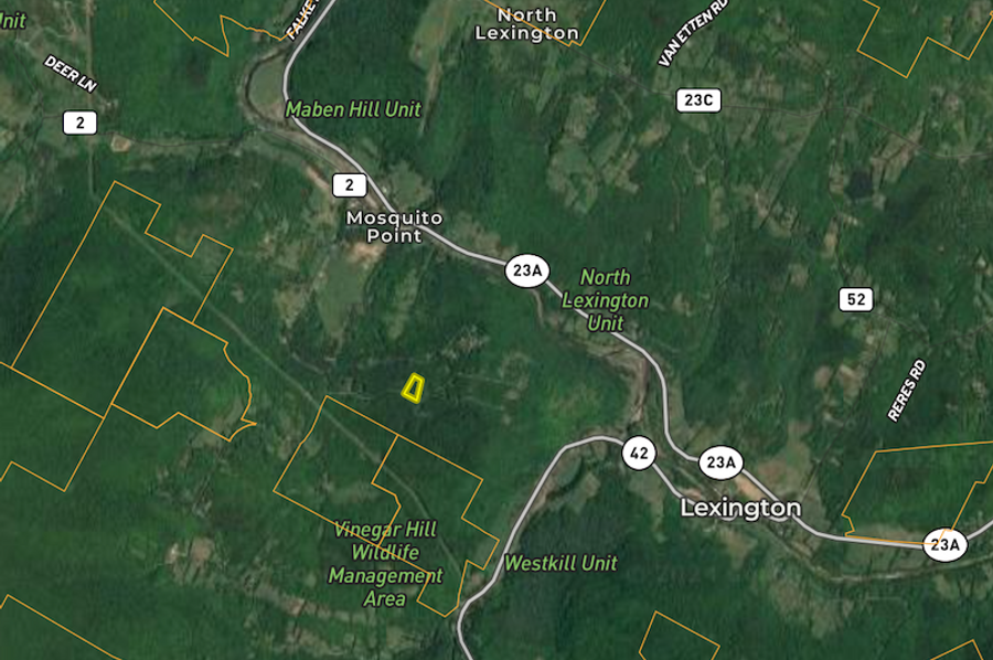Greene co 3.6 Delsey Town map