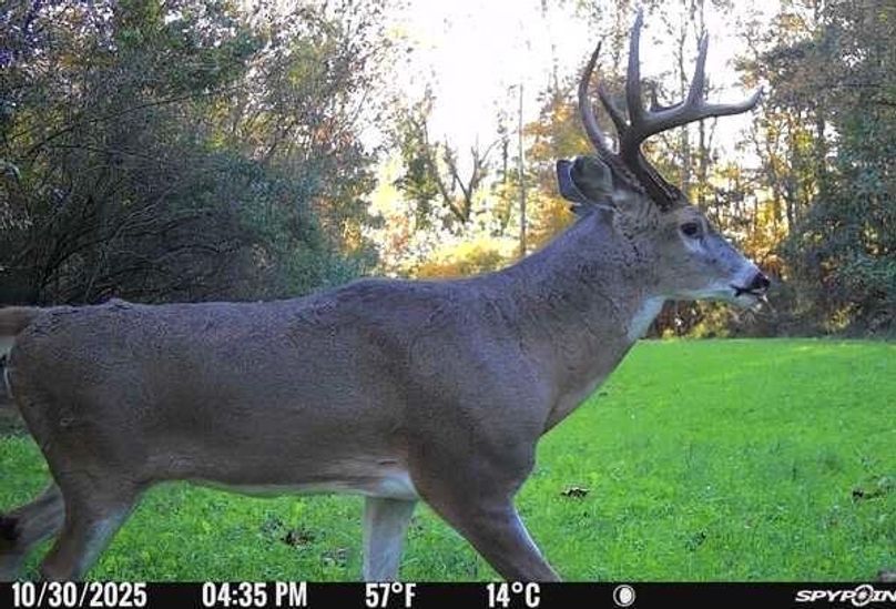 E99037F0-231C-4995-A613-2755CFC35AC4_1_201_a