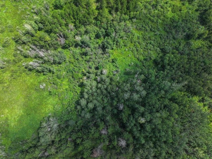 dji_fly_20240801_131118_0133_1722616713610_photo