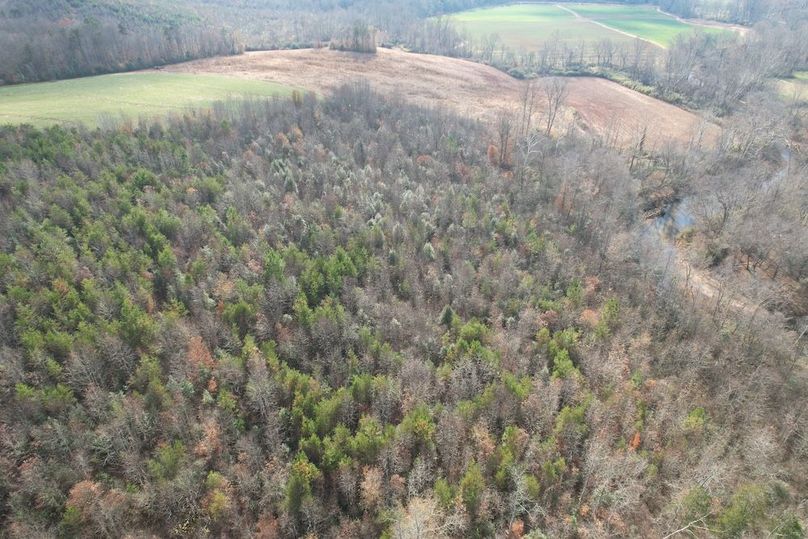 dji_fly_20251120_024350_944_1763686303621_photo