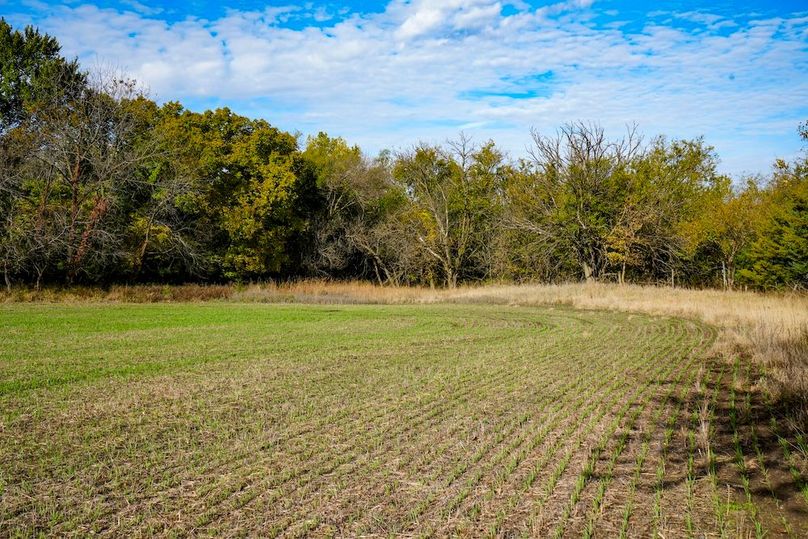 Dickinson Co, 154.5_049