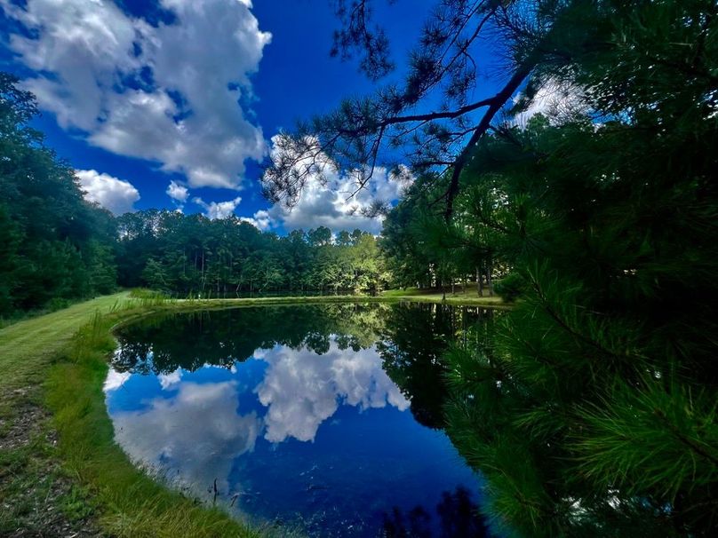 49DF05CB-6937-44CA-ADF8-08230D197E6B_1_201_a