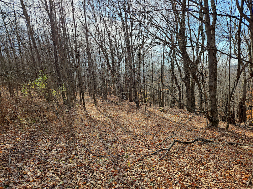 photo_486cf4f8-2dd1-45ff-aec9-36a17005a9e1