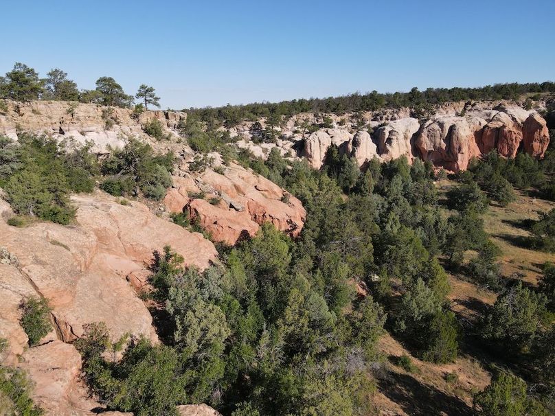 dji_fly_20240816_083938_561_1723819197132_photo