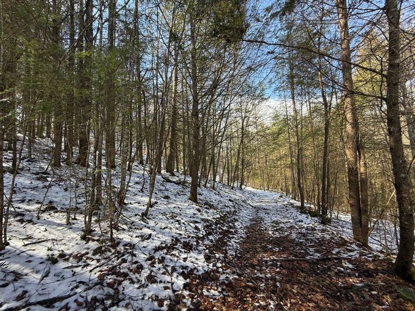 007 one of the trails leading through the south portions of the property