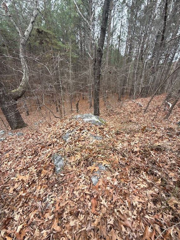 DJI_20260303_131250_968