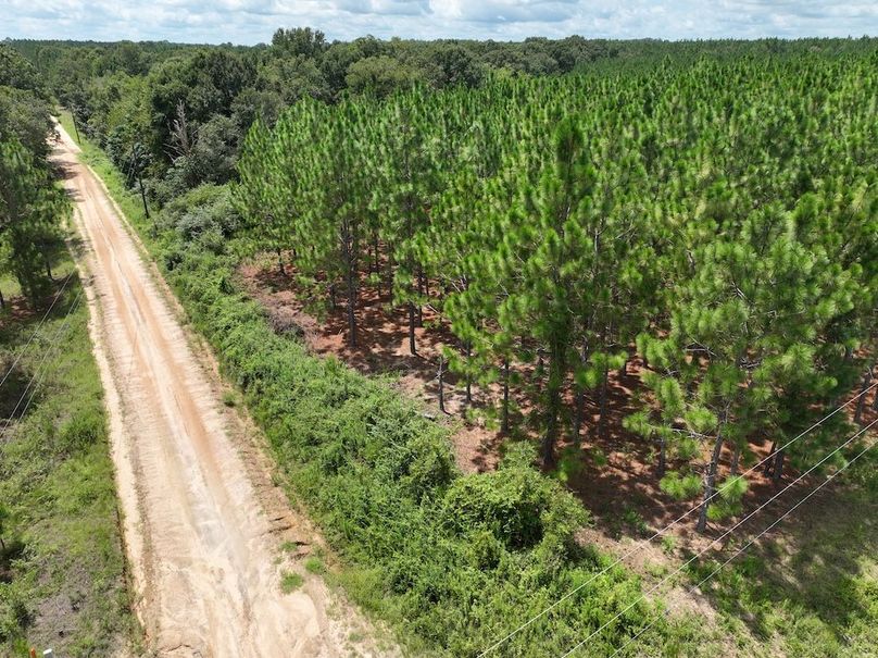 dji_fly_20250814_131756_75_1755192474235_photo