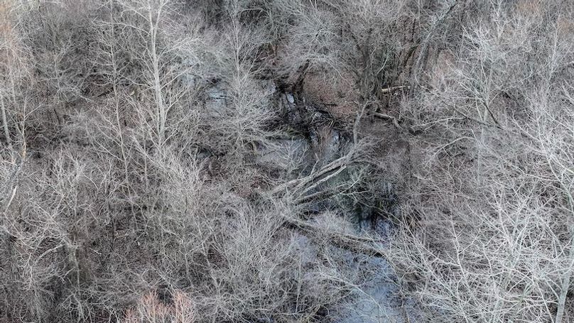 Phillips 8.5 Trahan -19