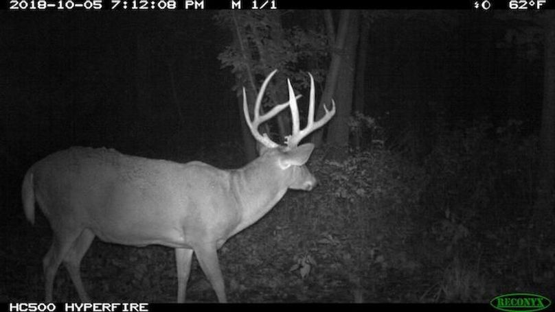 2018-10-05 19-12-08 M 1_1