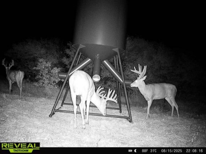 865977050266538-100-4-08152025220816-W1001716