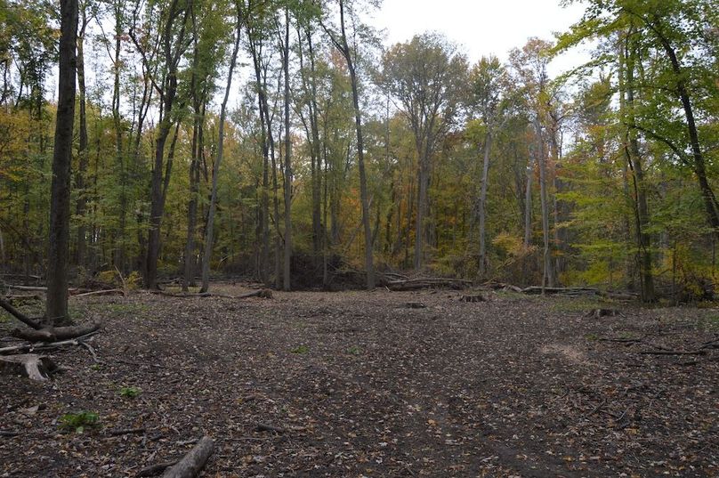 looking east across plot