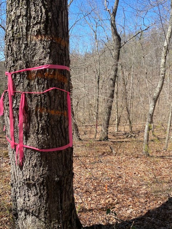 Carter Gordon 70 +_- 014