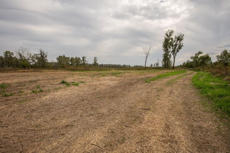  BLACKDOGBEND SOUTH_42