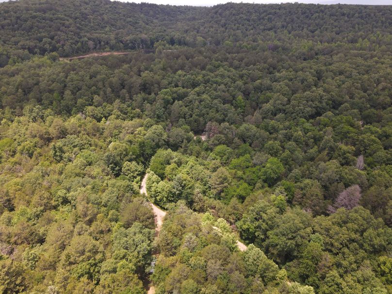DJI_0146