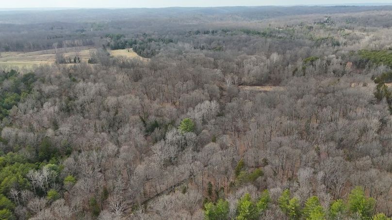 DJI_20250314170208_0263_D