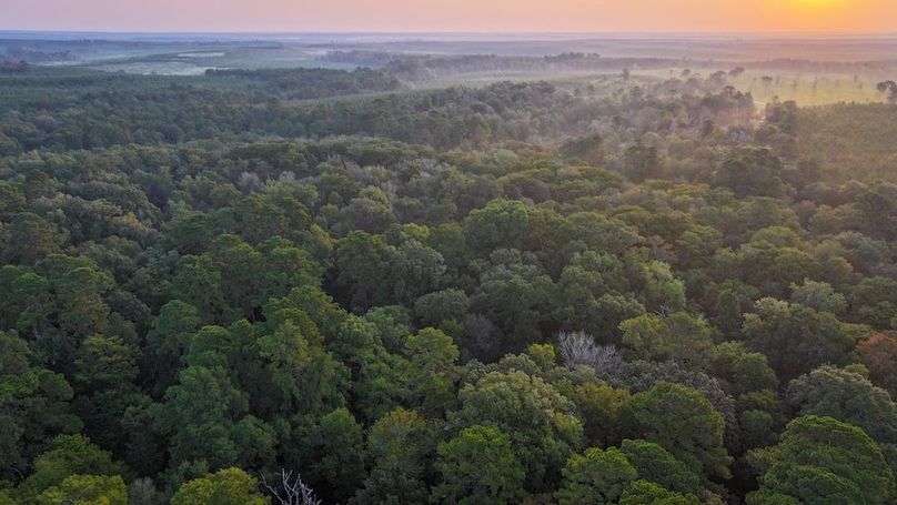 DJI_20250918070907_0030_D