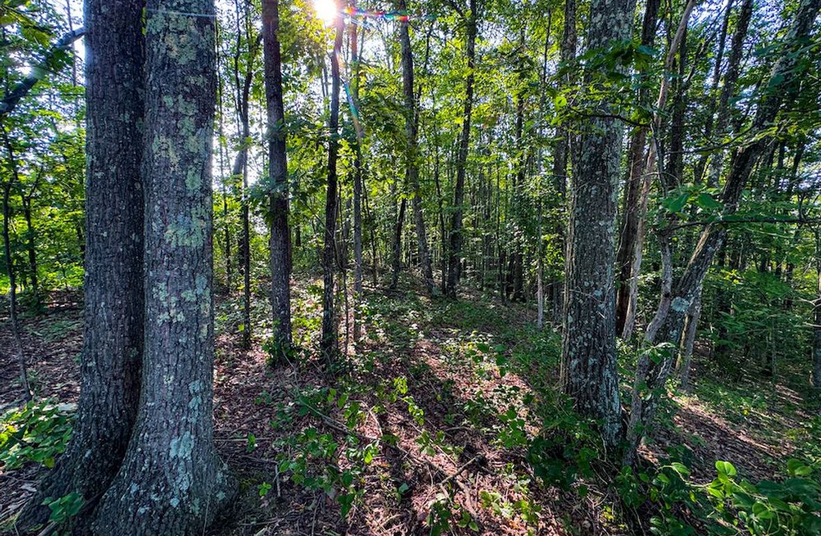 Lewis, WV 82.87 AC Barger-066