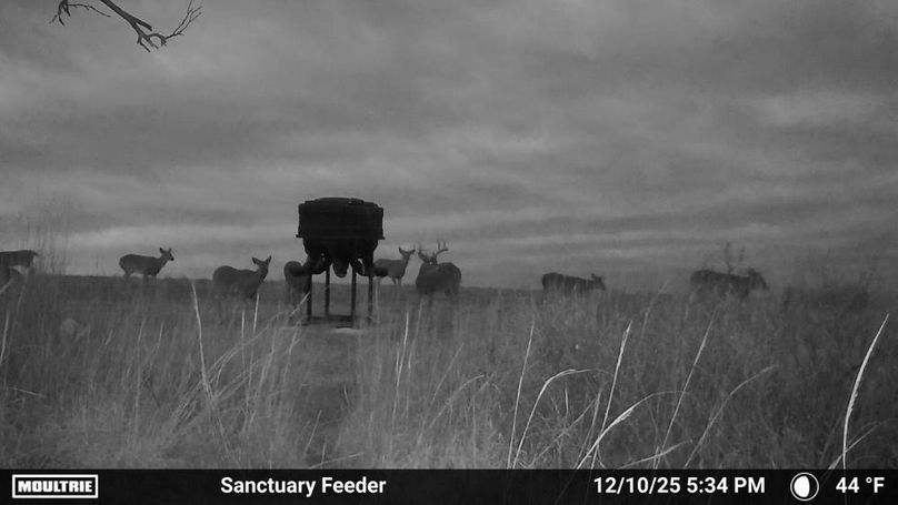 Temp_876933-20251210233440-100MFCAM_MFDC5716