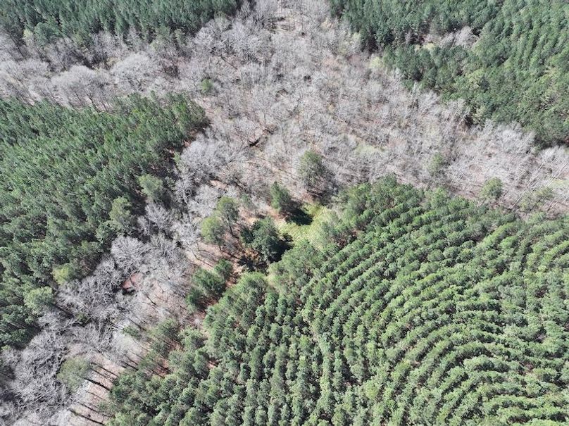 010AE - 257 Acres - Drone-13