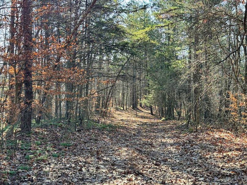 020 beautiful trail system around the perimeter