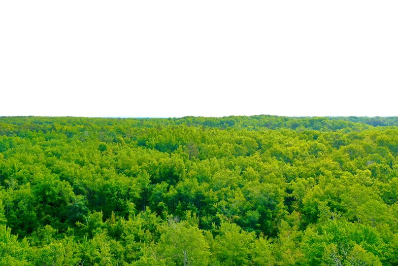 DJI_0453
