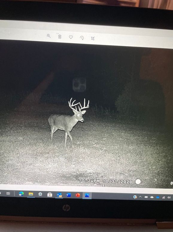 62994889966__402A804B-2826-4F57-ABA2-F8F77371B9A0