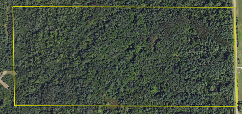 Screen Shot 2024-07-09 at 8.23.34 AM