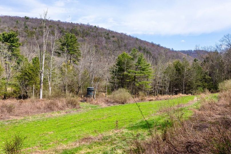 58-web-or-mls-IMG-58