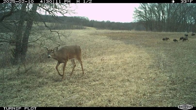 Copy of Copy of 1-5505585577