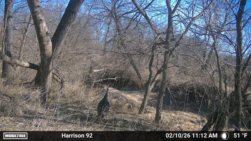 1671622-20260210175600-100MFCAM_MFDC0466