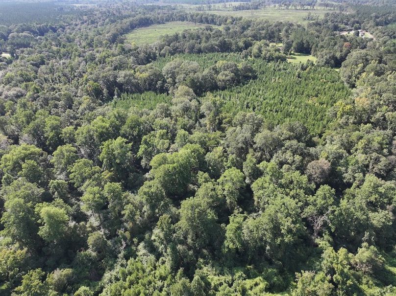 dji_fly_20250903_102104_0408_1757089038765_photo