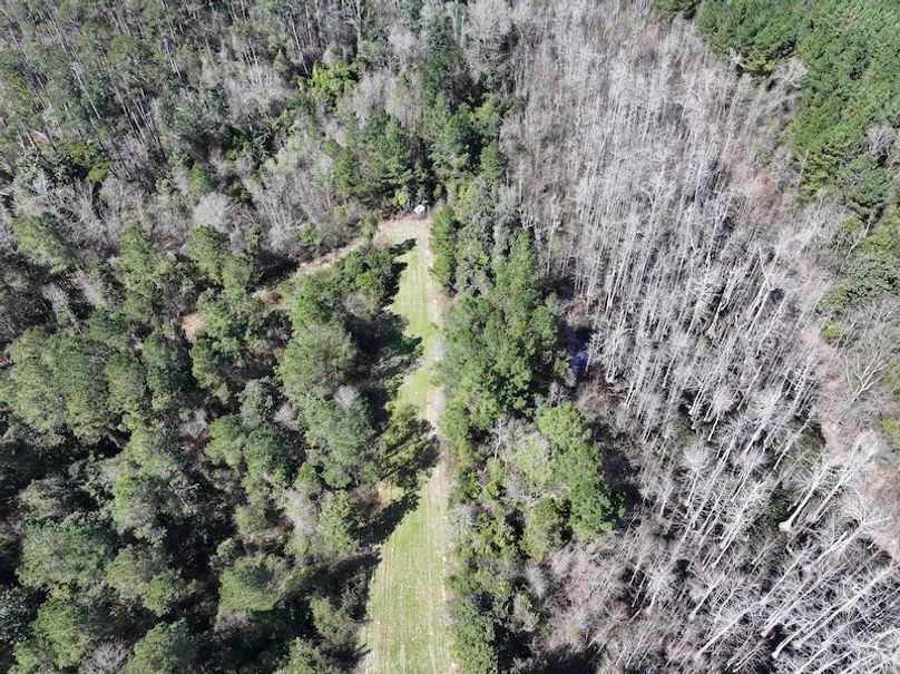 dji_fly_20260224_113148_0320_1772209051413_photo