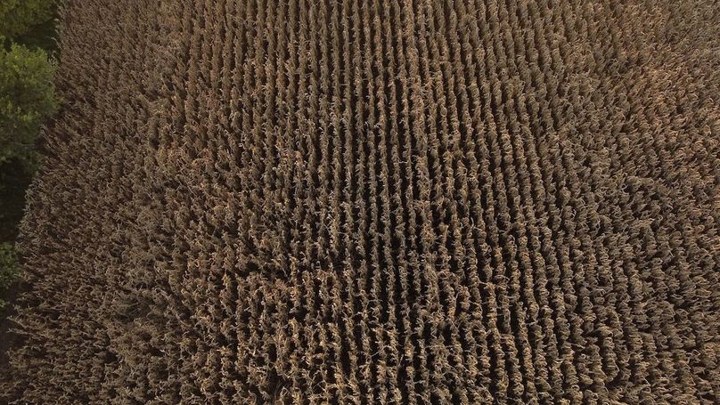 Copy of MILLS CO IA 51.37 - TRACT 2_11