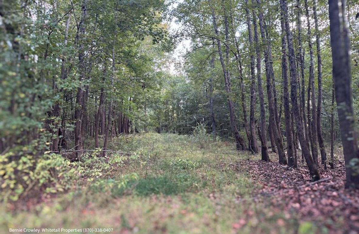 DeSoto 329 Prewett (Thompson) -03